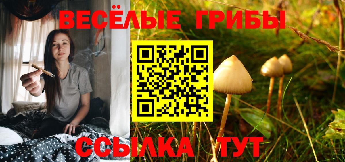 Псилоцибиновые грибы GOLDEN TEACHER  Галлюциногенные грибы ЛСД  Вход с VPN  Сальск 